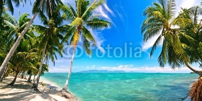 doris oberfrank-list, Panorama: Karibischer Traumstrand auf Samana (panorama, insel, sand, stranden, erholung, reiseziel, tropisch, tropics, meer, sand, ruhe, sommer, sonne, reisen, resort, paradise, palme, palme, kokos, spaß, karibik, sonnig, fremdenverkehr, urlaub, urlaub, entspannung, seychellen, himmel, romantisc)