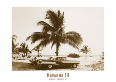 Barbara Dombrowski, Havanna III (Oldtimer, Straßenkreuzer, Auto, Palme, Kuba, Nostalgie, Photokunst, Fotokunst, Wohnzimmer, Treppenhaus, sepia)