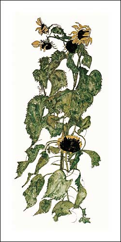 Egon Schiele, Sunflowers, 1917 (Büttenpapier) (Malerei, Blumen, Sonnenblumen, Natur, Sommer, Flora, Klassische Moderne, Expressionismus, Wohnzimmer, Treppenhaus, bunt)