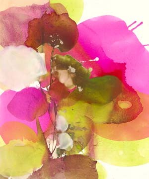 El Witt, Blossoms Abstracts (Blüten, abstrakt, Aquarell, Malerei, zart, filigran, transparent, Wohnzimmer, Schlafzimmer, Wunschgröße, bunt)