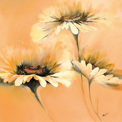 Elena Filatov, Apricot Summer I (Blumen, Blüten, Botanik, Margariten, Treppenhaus, Wohnzimmer, Schlafzimmer, Wunschgröße, pastell, apricot,)