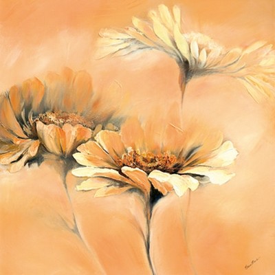 Elena Filatov, Apricot Summer II (Blumen, Blüten, Botanik, Margariten, Treppenhaus, Wohnzimmer, Schlafzimmer, Wunschgröße, pastell, apricot,)