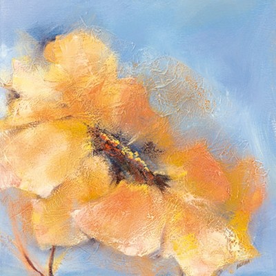 Elena Filatov, Bright Anemone II (Blumen, Blüten, Botanik, Anemone, Treppenhaus, Wohnzimmer, Schlafzimmer, Wunschgröße, pastell, apricot/hellblau)