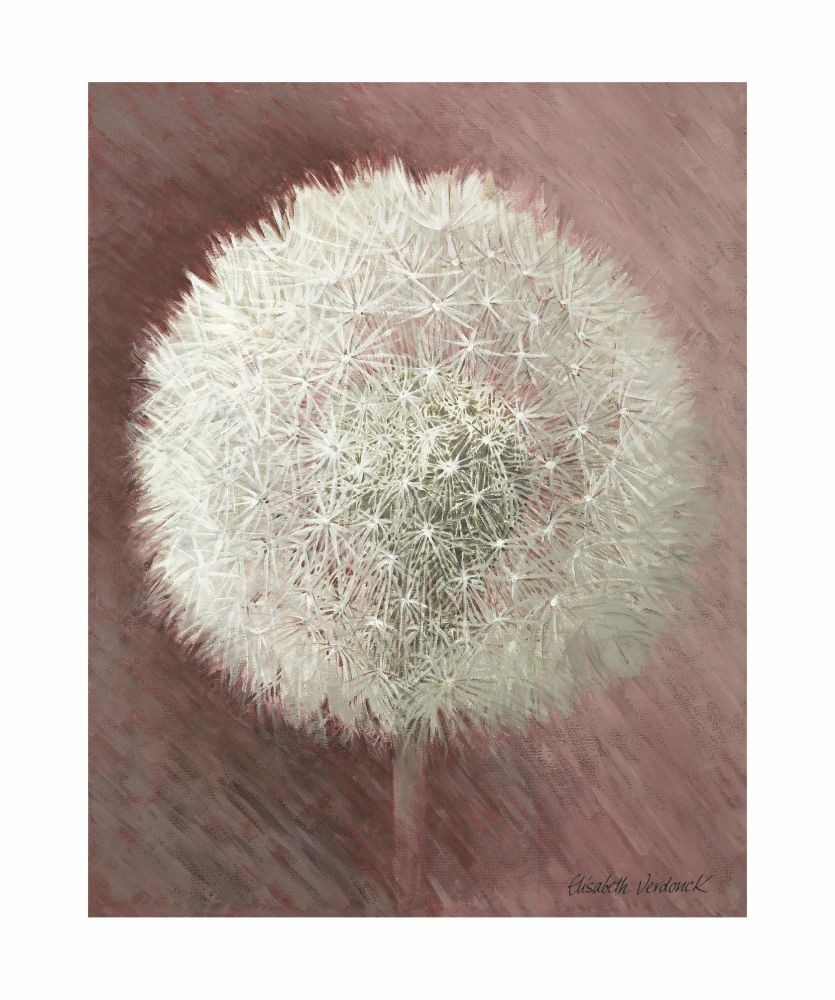 Elisabeth Verdonck, Dandelion Clock I (Malerei, Blumen, Natur, Blume, Löwenzahn, Pusteblume, Samen, Floral, Botanik, Wohnzimmer, Treppenhaus, Schlafzimmer, weiß / altrosa)