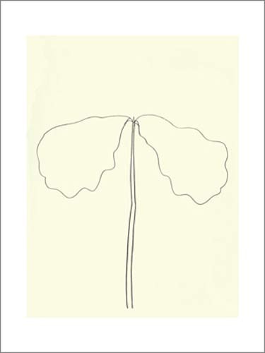 Ellsworth KELLY, Chêne, 1964 (Büttenpapier) (Skizze, Blätter, Stängel, pflanzlich, minimalisitsch,  rational, Wohnzimmer, Treppenhaus, schwarz/weiß)