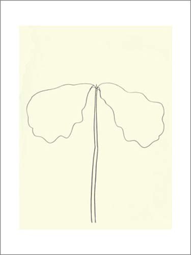 Ellsworth KELLY, Chêne, 1964 (Büttenpapier) (Skizze, Blätter, Stängel, pflanzlich, minimalisitsch,  rational, Wohnzimmer, Treppenhaus, schwarz/weiß)