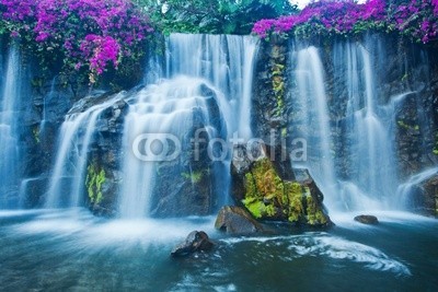 EpicStockMedia, Waterfall (schöner, schönheit, bach, cascade, katarakt, flüsschen, umwelt, fallen, fließen, blume, strömend, flüssig, wald, frisch, grün, hoch, landschaft, leaf, natürlich, natur, draußen, paradise, park, peace, einträchtig, rivers, fels, szeneri)