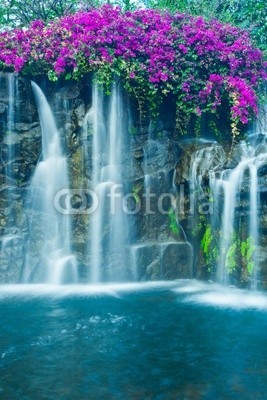 EpicStockMedia, Waterfall (schöner, schönheit, bach, cascade, katarakt, flüsschen, umwelt, fallen, fließen, blume, strömend, flüssig, wald, frisch, grün, hoch, landschaft, leaf, natürlich, natur, draußen, paradise, park, peace, einträchtig, rivers, fels, szeneri)