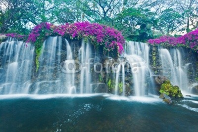 EpicStockMedia, Waterfall (schöner, schönheit, bach, cascade, katarakt, flüsschen, umwelt, fallen, fließen, blume, strömend, flüssig, wald, frisch, grün, hoch, landschaft, leaf, natürlich, natur, draußen, paradise, park, peace, einträchtig, rivers, fels, szeneri)