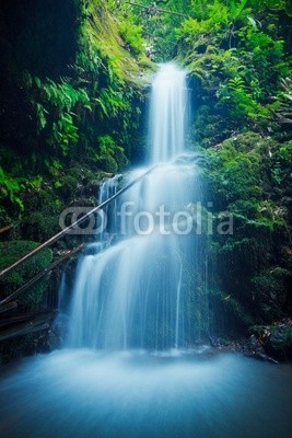 EpicStockMedia, Beautiful Lush Waterfall in Hawaii (schöner, ruhe, cascade, klar, bunt, kühl, flüsschen, umwelt, fallen, floral, fließen, blume, strömend, garten, grün, urwald, leaf, natürlich, natur, draußen, park, einträchtig, pflanze, teich, ruhig, entspannung, entspannend, fels, szene, szeneri)