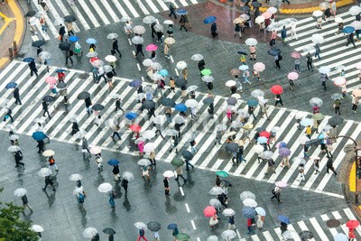 eyetronic, Shibuya Crossing (shibuya, japan, tokyo, tokyo, kreuzung, straße, leute, crossroad, straße, japanisch, menschenmenge, leute, person, menge, masse, überqueren, spaziergang, bunt, regen, regenschirm, asien, fußgänger, zebrastreifen, crossroad, einkaufen, fußgänge)