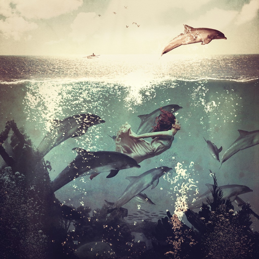 Paula Belle Flores, My Favourite Morning Race (Meer, Unterwasser, Delphine, Schwimmerin, Wettschwimmen, Tauchen, mystisch, Fantasy, surreal, modern, Wohnzimmer, Jugendzimmer, Wunschgröße)