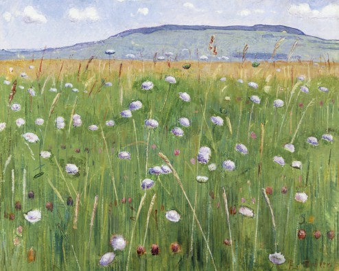 Ferdinand Hodler, Wiesenstück (Malerei, Jugendstil, Landschaftsmalerei, Berge, Natur,  Panorama, Wiese, Blumenwiese, Bergwiese, Wohnzimmer, Schlafzimmer, Arztpraxis, Wunschgröße, bunt)