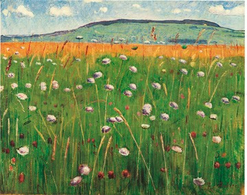 Ferdinand Hodler, Wiesenstck, 1900/1902 (Malerei, Jugendstil, Landschaftsmalerei, Berge, Natur,  Panorama, Wiese, Blumenwiese, Bergwiese, Wohnzimmer, Schlafzimmer, Arztpraxis, bunt)