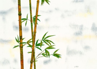 Michael Ferner, Bambus (Bambus, floral, Pflanze, Natur, Asiatisch, Treppehaus, Wohnzimmer, Badezimmer, Malerei, bunt)