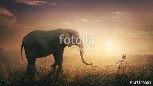 kevron2001, Elephant walked by child (elefant, kind, mädchen, kleinkind, tier, tierpark, surreal, seil, landschaft, ziehen, haustier, hübsch, kreativ, wildlife, afrika, weiblic)