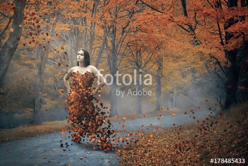 kevron2001, Woman and fall dress (frau, mädchen, blatt, fallen, herbst, garniert, natur, surreal, konzept, manipulation, allein, pfad, wald, holz, baum, jahreszeit, orange, gel)