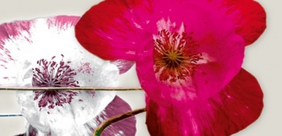 Frauke Meszaros, Anemonen-Duo II (Blumen, Blüten, Annemonen, Pflanzen, floral, modern, Malerei, Wunschgröße, Wohnzimmer, Treppenhaus, weiß/pink)