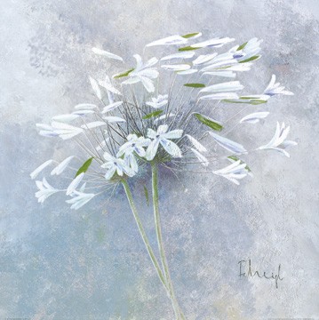 Franz Heigl, Enchanted I (Modern, Malerei, Stillleben, Blume, Blüte, weiß - blau)