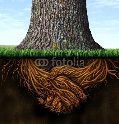 freshidea, Strong Business Roots (trust, integrität, business, relationen, finanz-, finanzen, verträge, solid, stärke, führung, wurzel, wurzel, trunk, baum, zuwachs, anbauend, himmel, sommer, gesund, händedruck, erfolg, einigkeit, leistun)