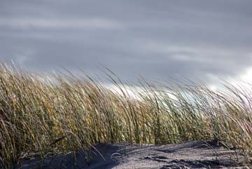 Gerhard Rossmeissl, Insel Sylt II (Landschaften, Insel, Düne, Dünengras, Naturschutz, Nordsee, Wunschgröße, Fotografie, Schlafzimmer, Wohnzimmer, Wellness, zeitgenössisch, bunt)