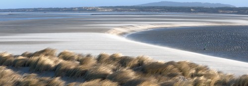 Georges-Félix Cohen, Entre deux mers (Wunschgröße, Fotografie, Landschaft, Sand, Strand, Dünen, Dünengras, Meeresbrise, Badezimmer, Treppenhaus, bunt)