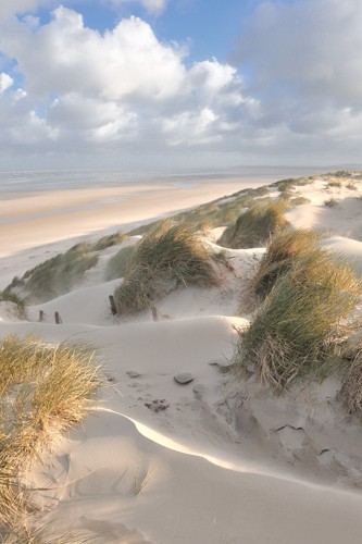 Georges-Félix Cohen, Les dunes - pastel (Wunschgröße, Fotografie, Meeresbrise, Dünen, Landschaft, Meer, Ruhe, Weite, Horizont, Urlaub, Erholung, Badezimmer, Treppenhaus, Arztpraxis, bunt)