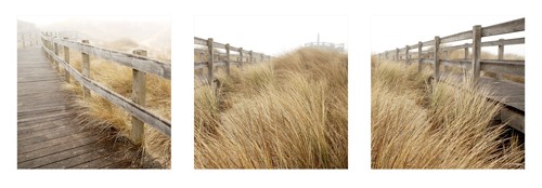 Georges-Félix Cohen, The Wooden Bridge (Landschaft, Sand, Strand, Weg, Holzweg, Ruhe, Einsamkeit, Strand,  Meeresbrise, Badezimmer, Treppenhaus, Wunschgröße, Photografie, Fotografie, bunt)