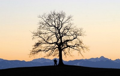 Gerhard Rossmeissl, Abenddämmerung I (Landschaften, Berge, Baum, Dämmerung, Silhouette, Panorama, Wunschgröße, Fotografie, Schlafzimmer, zeitgenössisch, bunt)