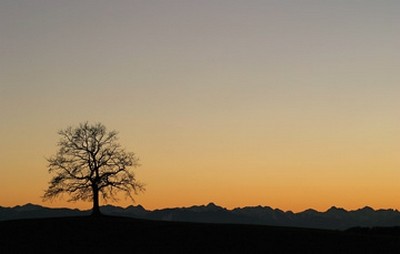 Gerhard Rossmeissl, Abenddämmerung II (Landschaften, Berge, Baum, Dämmerung, Silhouette, Panorama, Wunschgröße, Fotografie, Schlafzimmer, zeitgenössisch, bunt)