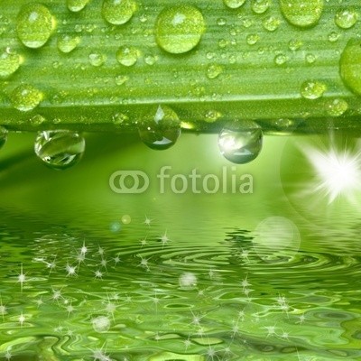 Gerhard Seybert, Wassertropfen auf grÃ¼ner Pflanze mit Sonne und Glitzern (wasserturm, pflanze, frisch, entspannung, wellness, gesundheit, erholung, gras, grashalm, grÃ¼n, makro, wasser, natur, rieseln, wiese, botanik, close-up, feucht, regen, regentropfen auf blÃ¼te, flora, frisch, seil, tautra, pflanze, blatt, waterdrop, blum)