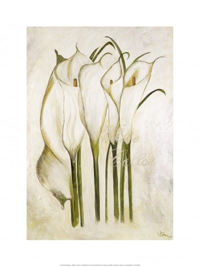 Gerstner Heidi, White Callas (Blumen, Blüten, Blütenstängel, modern, Malerei, Treppenhaus, Wohnzimmer, Esszimmer, weiß/beige)