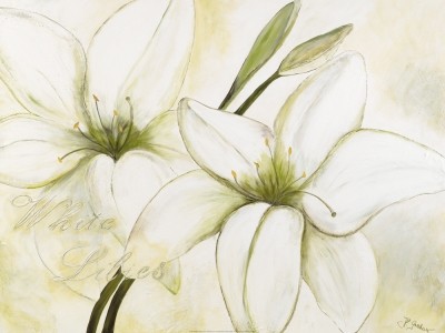 Gerstner Heidi, White Lilies (Blumen, Blüten, Blütenblätter,, Lilien, modern, Malerei, Treppenhaus, Wohnzimmer, Esszimmer, weiß/beige)