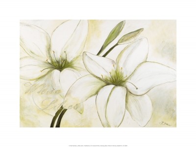 Gerstner Heidi, White Lilies (Blumen, Blüten, Blütenblätter,, Lilien, modern, Malerei, Treppenhaus, Wohnzimmer, Esszimmer, weiß/beige)