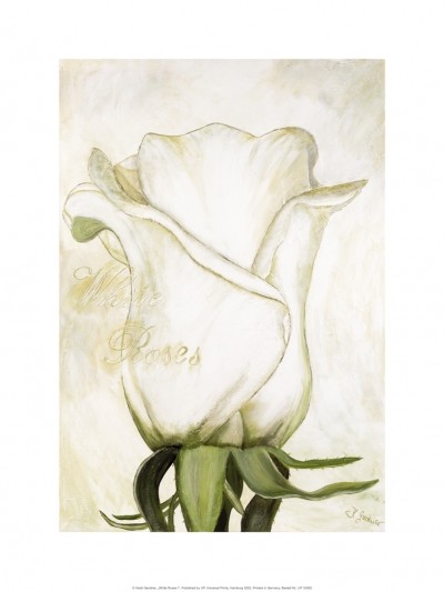 Gerstner Heidi, White Roses I (Rose, Blume, Blüte, Blütenblätter, modern, Malerei, Treppenhaus, Wohnzimmer, Esszimmer, weiß/grün)