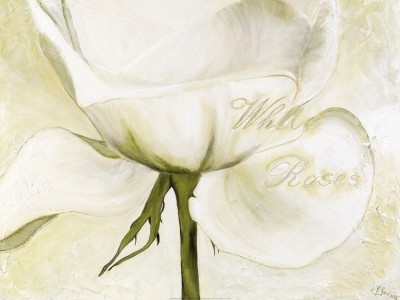 Gerstner Heidi, White Roses II (Rose, Blume, Blüte, Blütenblätter, modern, Malerei, Treppenhaus, Wohnzimmer, Esszimmer, weiß/grün)