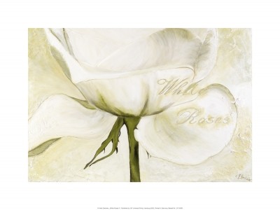 Gerstner Heidi, White Roses II (Rose, Blume, Blüte, Blütenblätter, modern, Malerei, Treppenhaus, Wohnzimmer, Esszimmer, weiß/grün)
