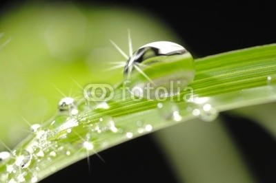 Gerhard Seybert, Tautropfen im Sonnenlicht auf Grashalm (tautra, wasser, grashalm, frisch, sunlight, gesundheit, frÃ¼hling, sommer, wellness, blase, spiegelung, spiegelung, funkeln, frisch, wohlbefinden, wiese, natur, pflanze, klar, sauber, reinheit, zen, quelle, frÃ¼hling, blas)
