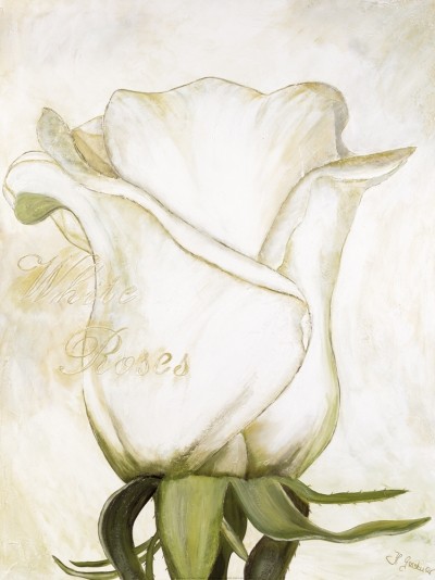 Gerstner Heidi, White Roses I (Rose, Blume, Blüte, Blütenblätter, modern, Malerei, Treppenhaus, Wohnzimmer, Esszimmer, weiß/grün)