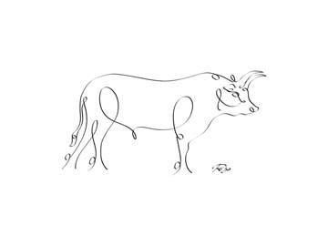 Gholam Reza Mahdavi, Bull (Stier, Bulle, Nutztier, Vieh, Zeichnung, kalligrafisch, Schnörkel, Wohnzimmer, Treppenhaus, Wunschgröße, modern, schwarz / weiß)