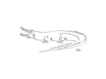 Gholam Reza Mahdavi, Crocodile (Krokodil, Reptil, Panzerechse, Zeichnung, kalligrafisch, Schnörkel, Wohnzimmer, Treppenhaus, Wunschgröße, modern, schwarz / weiß)