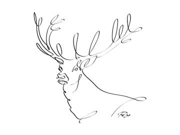 Gholam Reza Mahdavi, Deer (Hirsch, Geweih, Wild,   Zeichnung, kalligrafisch, Schnörkel, Wohnzimmer, Treppenhaus, Wunschgröße, modern, schwarz / weiß)