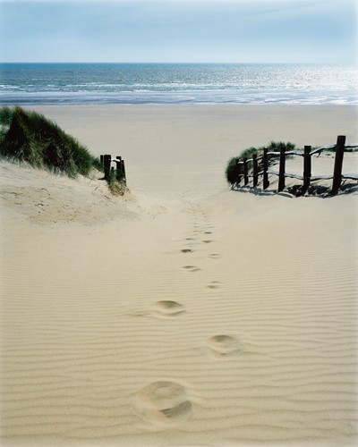 Gill Copeland, Stepping Out (Strand, Meer, Horizont, Meeresbrise, Fußstapfen, Einsamkeit, Fotografie, Treppenhaus, Wohnzimmer, Badezimmer, bunt,)