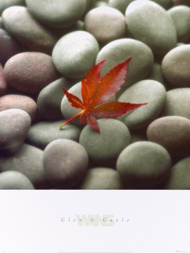 Glen & Gale Wans, Leaf on Stone (Photokunst, Fotokunst, Steine, Blatt, Ahorn, Kiesel, Herbst, Wohnzimmer, Treppenhaus)