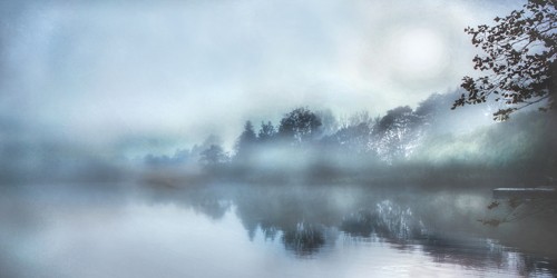 Irene Weisz, Morning Wonders (Landschaft, Fotokunst, Landschaftsfotografie, See, Dunst, Nebel, Spiegelungen, Sonnenaufgang, Stimmung, Stille, Einsamkeit,Schlafzimmer, Wohnzimmer, Wunschgröße, grau)