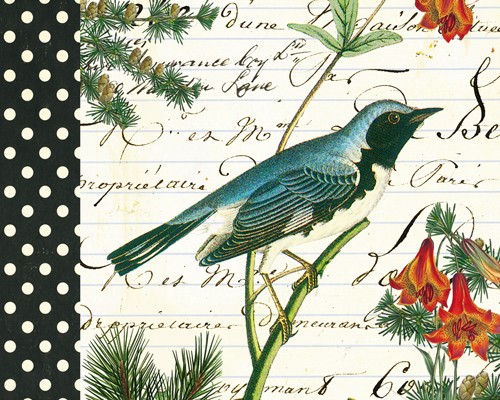 Gwenaëlle TROLEZ, Paruline bleue (Postkartenkunst, Postkarte, Grafik, Vogel, Waldsänger, blauer Waldsänger, Zweige, Kalligrafie, Nostalgie, Treppenhaus, Wohnzimmer, bunt)