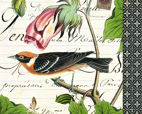 Gwenaëlle TROLEZ, Paruline (Postkartenkunst, Postkarte, Grafik, Vogel, Waldsänger, Haldenwaldsänger, Zweig, Kalligrafie, Nostalgie, Treppenhaus, Wohnzimmer, bunt)