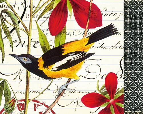 Gwenaëlle TROLEZ, Troupiale (Postkartenkunst, Postkarte, Grafik, Vogel, Stärling, Trupial, Zweig, Kalligrafie, Nostalgie, Treppenhaus, Wohnzimmer, bunt)