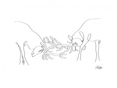 Gholam Reza Mahdavi, Deer Fight 01 (Hirsche, Geweih, kämpfende Hirsche, Zeichnung, kalligrafisch, Schnörkel, Wohnzimmer, Treppenhaus, Wunschgröße, modern, schwarz / weiß)