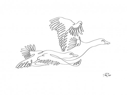 Gholam Reza Mahdavi, Geese (Gänse, Wildgänse, Flug, fliegende Gänse, Zeichnung, kalligrafisch, Schnörkel, Wohnzimmer, Treppenhaus, Wunschgröße, modern, schwarz / weiß)